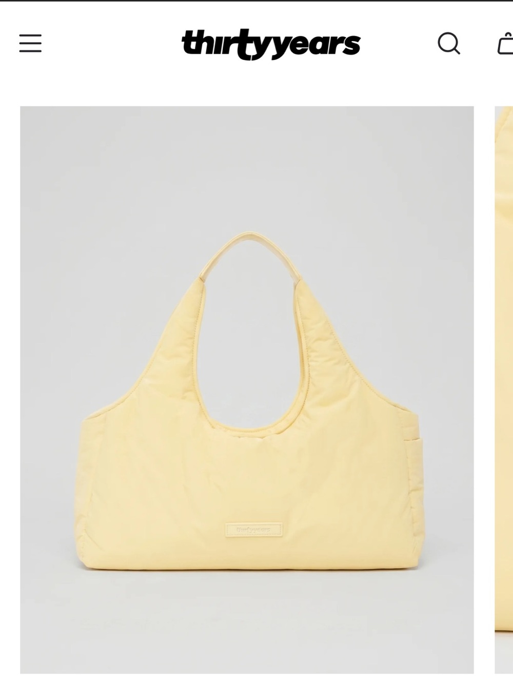 Thirty Years Half Day Bag